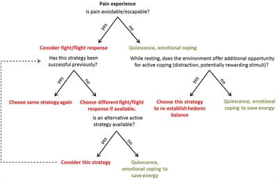 How Accurate Appraisal of Behavioral Costs and Benefits Guides Adaptive Pain Coping